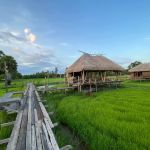 ขนำ คอฟฟี่