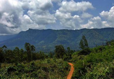 เขตรักษาพันธุ์สัตว์ป่า เขาบรรทัด