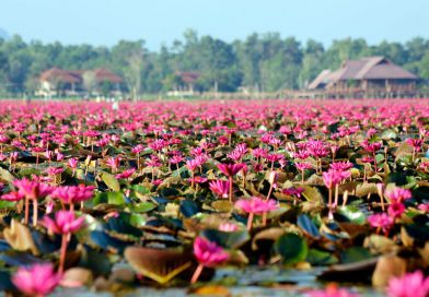 ทะเลน้อย