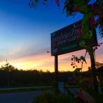 กาแฟสดบ้านไม้ ป่าบอน