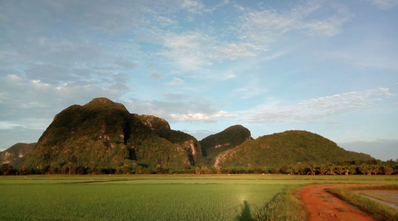 ศูนย์เรียนรู้และพัฒนาเกษตรกรชัยบุรี