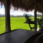 ร้าน กำนันมี่ คอฟฟี่ เฮาส์