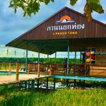 ร้านอาหาร ลานนอกท่อง