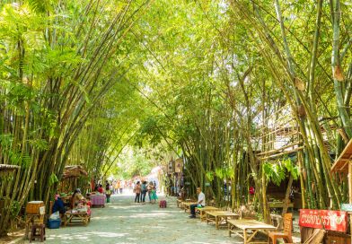 ตลาดป่าไผ่ สร้างสุข