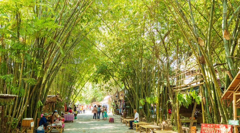 ตลาดป่าไผ่ สร้างสุข
