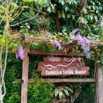 ร้านอาหาร บ้านเตมูจิน