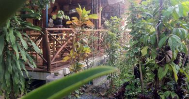 ร้านอาหาร บ้านสวน สเต็กเฮาส์