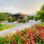 ร้านอาหาร หนำลุง