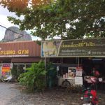 ร้านก๋วยเตี๋ยว ท่าเรือ ใต้ต้นหูกวาง