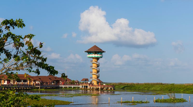 หอชมธรรมชาติทะเลน้อย