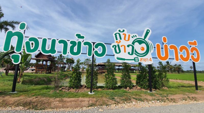 ร้านอาหาร ทุ่งนาข้าว กับข้าวบ่าววี