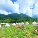 บ้านนา เม้าเท่นวิว