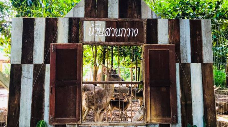บ้านสวนกวาง โฮมสเตย์