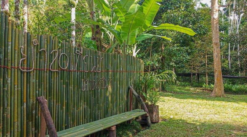 ร้านอาหาร ครัวในวัง