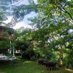 ร้านอาหาร ลานริมธาร