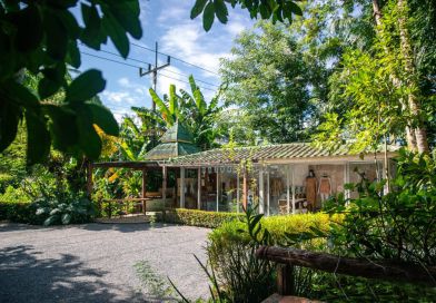 ป่าสาคู