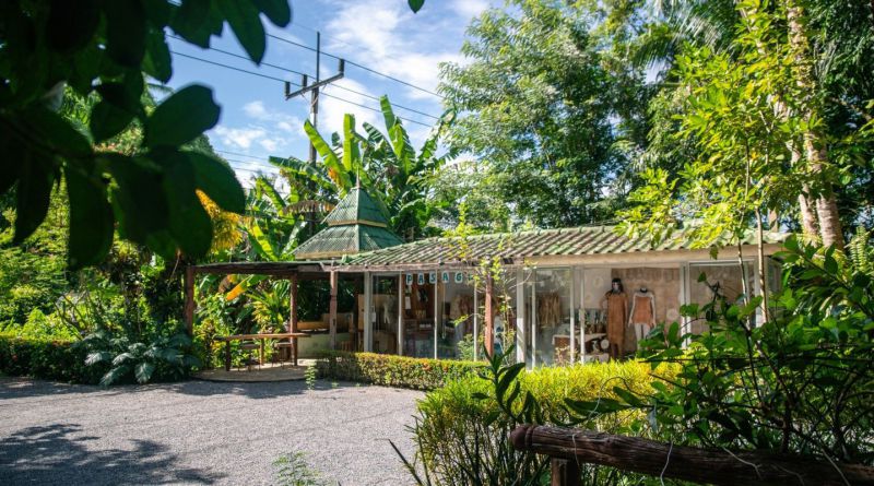 ป่าสาคู