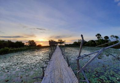 สาว โน เล @ เมืองพัทลุง สาว โน เล