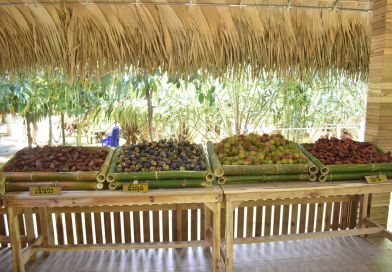 สวนสำเร็จ ริเวอร์ไซด์ @ ป่าพะยอม พัทลุง สวนสำเร็จ ริเวอร์ไซด์