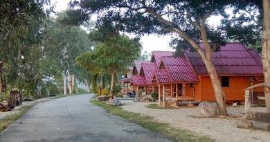 เกาะเสือสคูลสเตย์