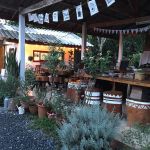 ลิตเติ้ลกรีนคาเฟ่