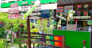 ร้านกาแฟกรีนกรีน