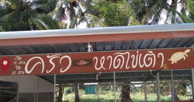 ร้านอาหารครัวหาดไข่เต่า