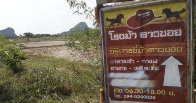 โรงม้าคาวบอย