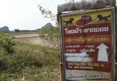 โรงม้าคาวบอย