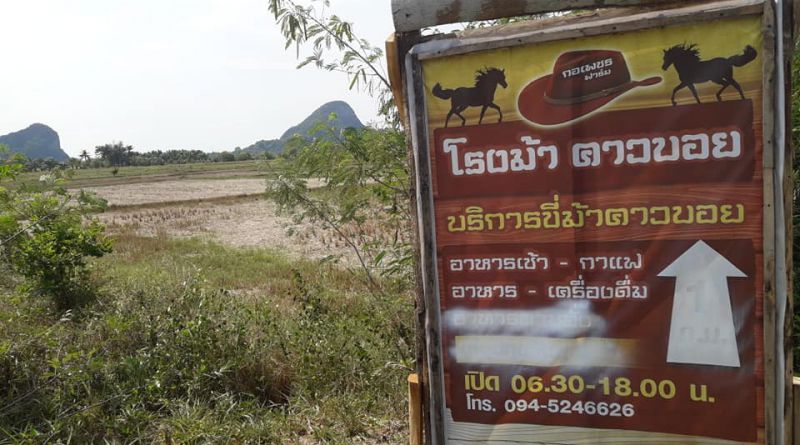 โรงม้าคาวบอย